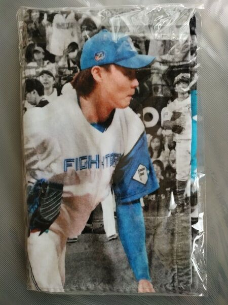 山﨑福也 「行くだけ!」 タオル 日本ハム ファイターズ
