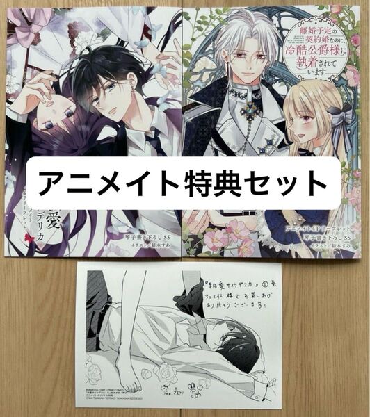【アニメイト特典セット】離婚予定の契約婚なのに、冷酷公爵様に執着されています 3 執愛サイケデリカ1