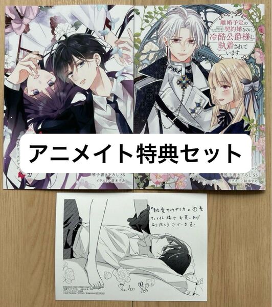 【特典3点】離婚予定の契約婚なのに、冷酷公爵様に執着されています3/執愛サイケデリカ1 アニメイトリーフレット2冊メッセージシート