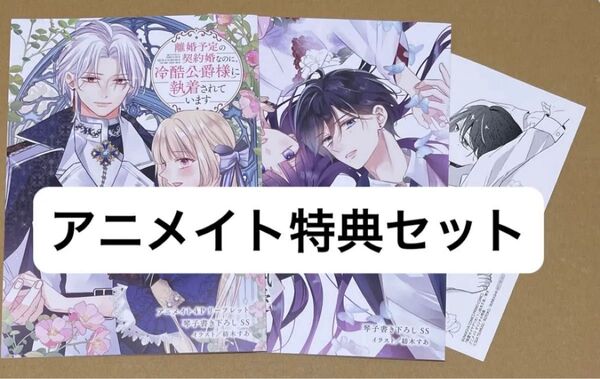 【特典3点】離婚予定の契約婚なのに、冷酷公爵様に執着されています3/執愛サイケデリカ1 アニメイトリーフレット2冊メッセージカード