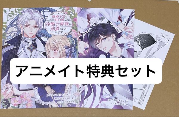【特典3点】離婚予定の契約婚なのに、冷酷公爵様に執着されています3/執愛サイケデリカ1 アニメイトリーフレット2冊メッセージカード