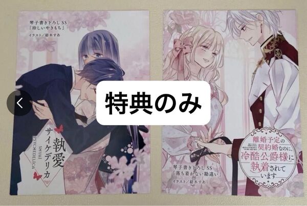 【特典のみ】離婚予定の契約婚なのに、冷酷公爵様に執着されています3 / 執愛サイケデリカ1 TSUTAYA