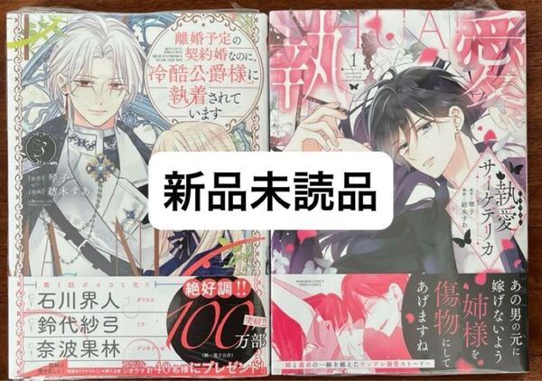 【新品】離婚予定の契約婚なのに、冷酷公爵様に執着されています3 / 執愛サイケデリカ1