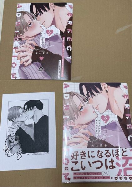 パーフェクトアディクション 2巻 アニメイト限定12P小冊子 イラストペーパー リーフレット