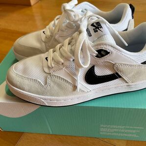 WMNS NIKE SB ALLEYOOP ナイキ アリウープ スニーカー