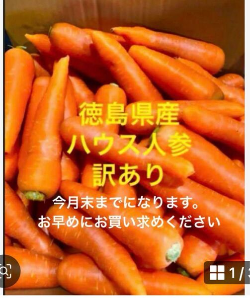 徳島県産 ハウス春人参 訳あり 10kg