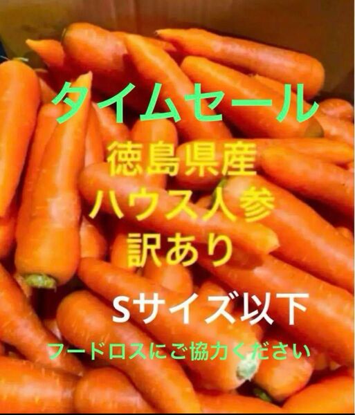 徳島県産 ハウス春人参 訳あり Sサイズ以下 10kg