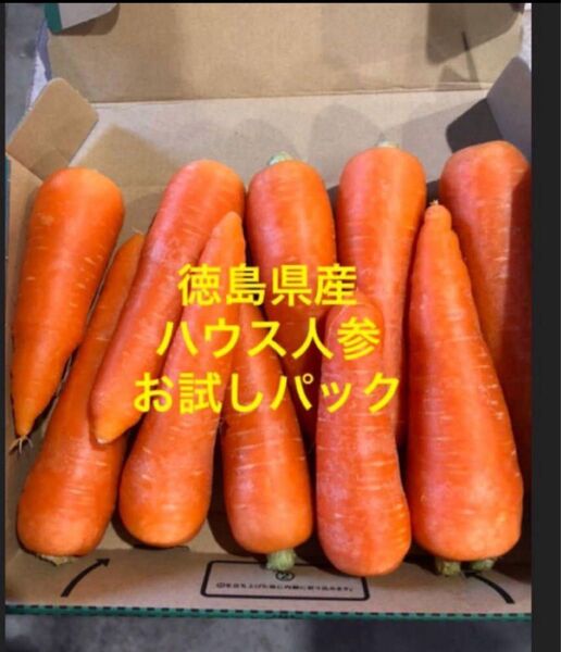 ハウス春人参 訳あり コンパクトBOX