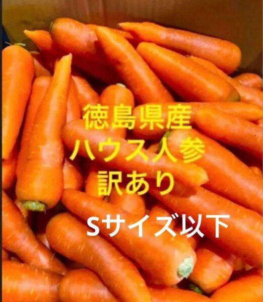 徳島県産 ハウス春人参 訳あり Sサイズ以下 箱込み5kg