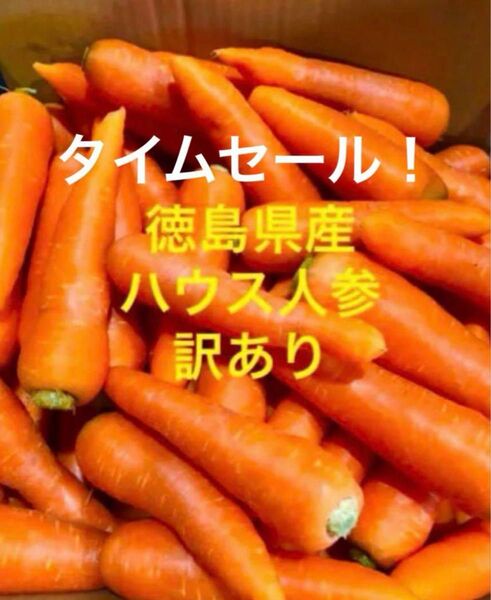徳島県産 ハウス春人参 訳あり 箱込み5kg