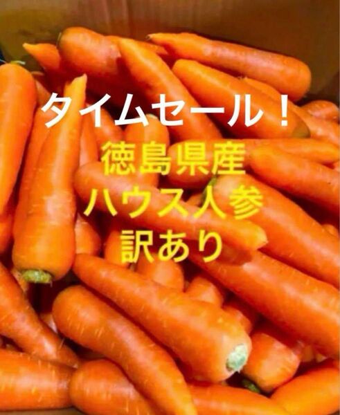 徳島県産 ハウス春人参 訳あり 箱込み5kg