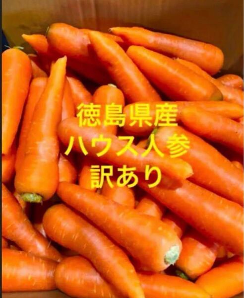 徳島県産 ハウス春人参 訳あり 10kg
