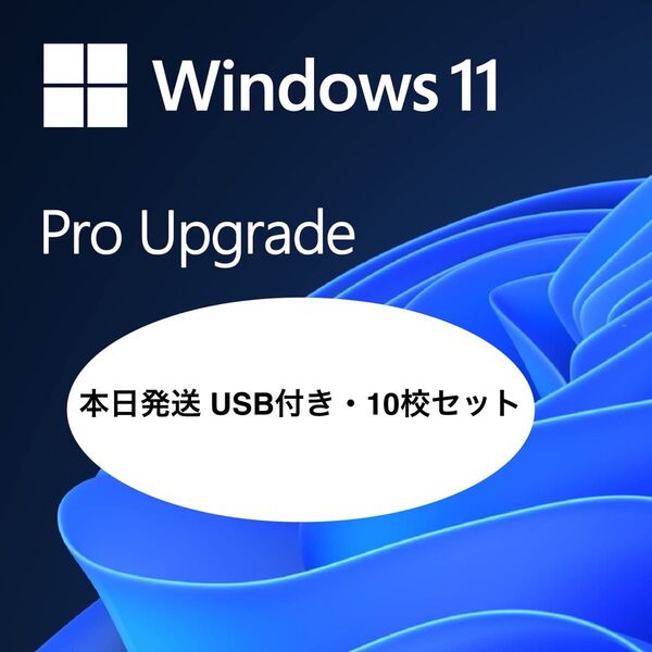 【本日発送・正規品】Microsoft Windows 11 Pro(グローバルキー・永続ライセンス)USB付き・10校セット