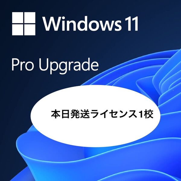 【本日発送・正規品】Microsoft Windows 11 Pro(グローバルキー・永続ライセンス) プロダクトキー
