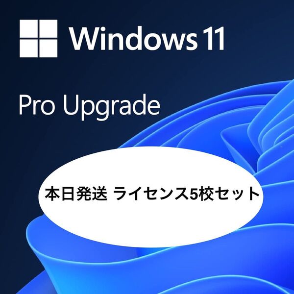 【本日発送・正規品】Microsoft Windows 11 Pro(グローバルキー・永続ライセンス)5校セット プロダクトキー