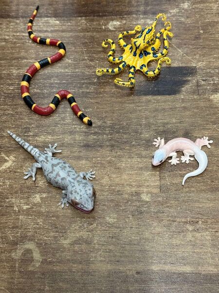 有毒危険動物大全 ヤモリ大全 生き物、いきもの大図鑑レプティ フィギュア4台セット バラ売り可
