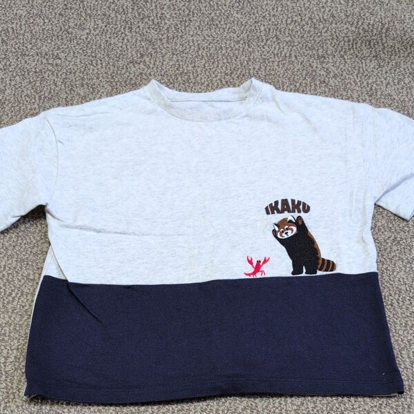 イカク 半袖Tシャツ 120cm