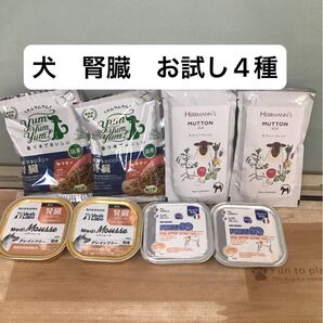 犬 腎臓 療法食 ヤムヤムヤム ビオリーブ メディムース フォルツァ10 お試しセット ドッグフード