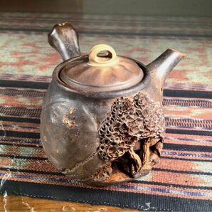 秋田焼 道楽 カラクリ 急須 金彩