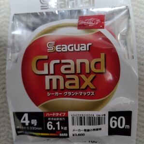 Seaguar Grand max シーガー グランドマックス 4号 60m