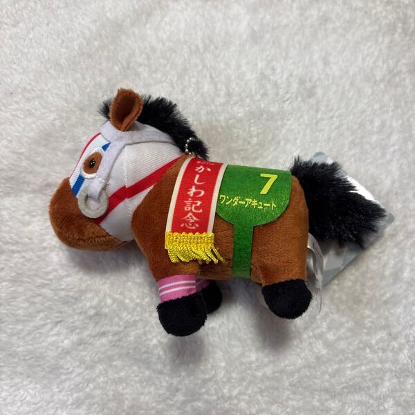 サラブレッドコレクション マスコットボールチェーン 競馬 ぬいぐるみ ワンダーアキュート かしわ記念