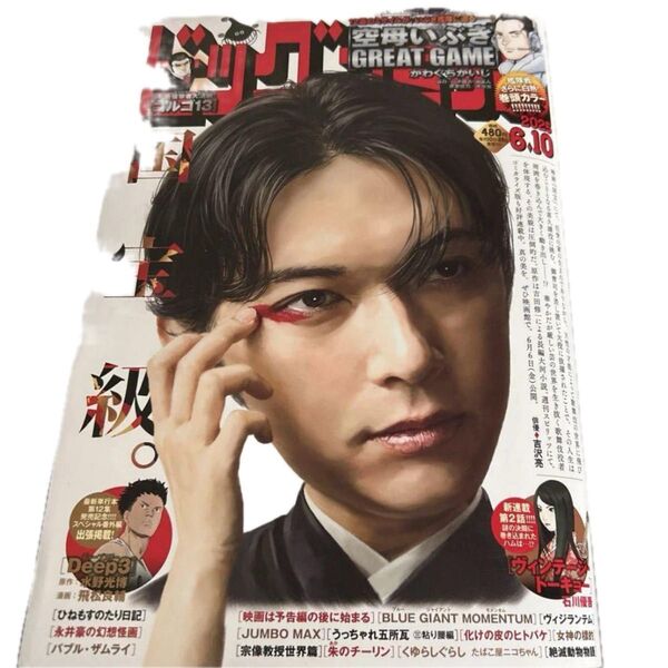 ビッグコミック 2025 6.10 最新号