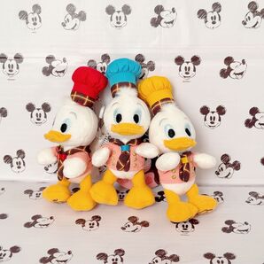 ディズニー 35周年 ヒューイ デューイ ルーイ ぬいぐるみバッジ セット