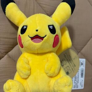 ピカチュウ ぬいぐるみ my pikachu c1522 731846