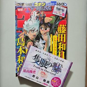 週刊少年サンデー 2025年5月21日号 (小学館)