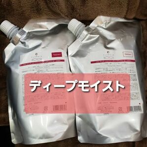 デミ フローディア ディープモイスト 各1000gシャンプートリートメント