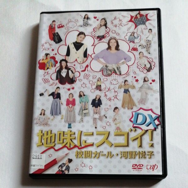 レンタル落ちDVD 地味にスゴイ! DX 校閲ガール・河野悦子 石原さとみ 菅田将暉 木村佳乃 本田翼