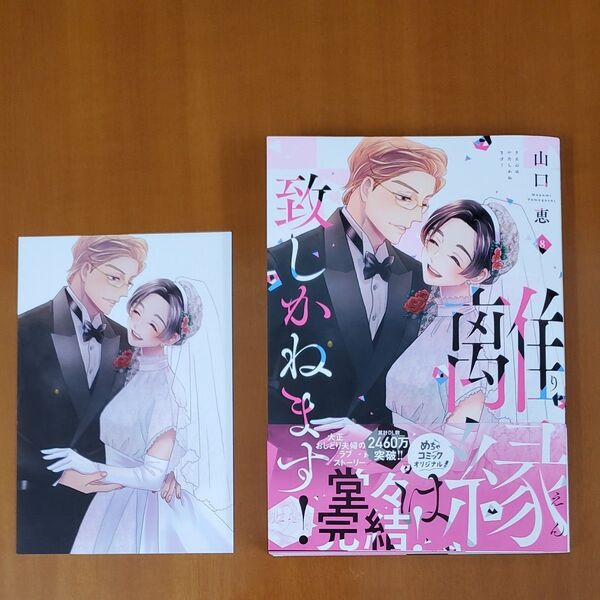 離縁は致しかねます! 8 (Only Lips comics めちゃコミックオリジナル) 山口恵/著 TSUTAYA特典