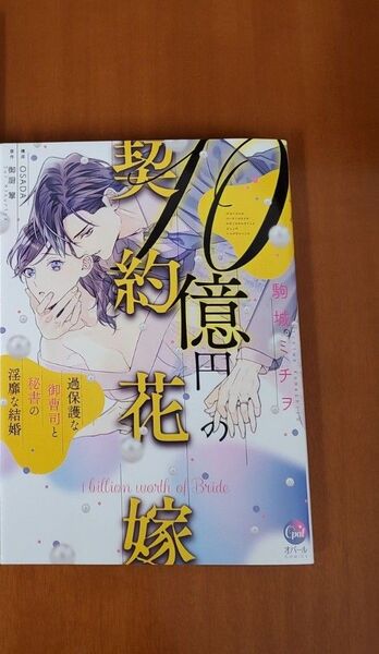 10億円の契約花嫁 過保護な御曹司と秘書の淫靡な結婚