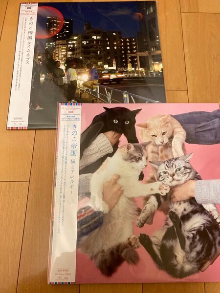 きのこ帝国 レコード 猫とアレルギー タイムラプス 佐藤千亜妃 アナログ 新品未開封