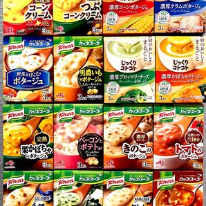 クノール じっくりコトコト カップスープ 16種 16箱(48食分) 【特価】★個包装のみ発送★インスタントスープ