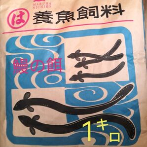 【送料無料】ハイステップ 1キロ うなぎの餌 ウナギの餌 鰻の餌 鰻用 練り餌 粉餌 養鰻飼料 稚魚 小魚 罠餌 釣り 集魚 エサ