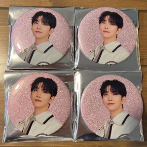 seventeen holiday ペンミ 缶バッジ ジョシュア