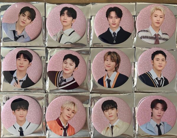 seventeen holiday ペンミ 缶バッジ 12種 コンプリート