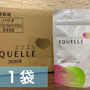 大塚製薬 エクエル 1袋