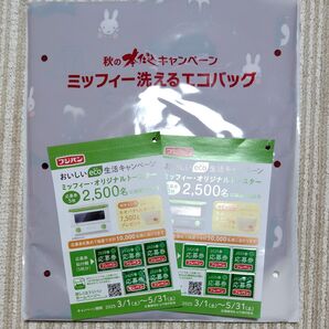 フジパン ミッフィー洗えるエコバッグ2021秋+応募券10枚【2口分】