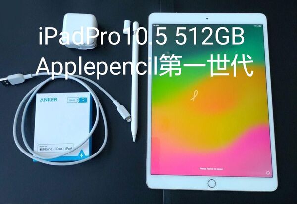 iPad Pro 10.5インチ 512GB Wi-Fi Cellular アップルペンシル Applepencil 第一世代