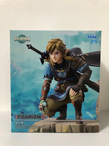 ゼルダの伝説 ティアーズオブザキングダム リンク