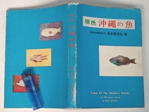 1972 год . цвет Okinawa. рыба ..... распроданный . лампочка рыбы иллюстрированная книга диалект море средний живое существо . индустрия рыбная промышленность рынок тропическая рыба Showa Retro 