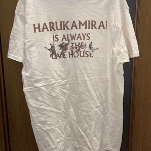 ハルカミライ Tシャツ L
