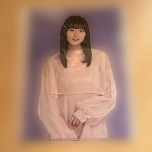 乃木坂 遠藤さくら クリアファイル