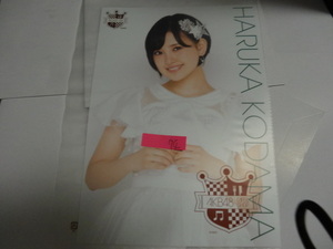 AKB48カフェ＆ショップ生写真ポスター第74弾 兒玉遥 A4サイズ