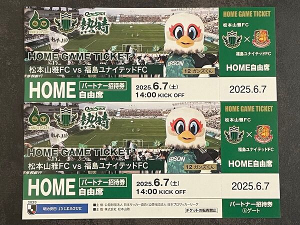 明治安田J3 6/7 松本山雅FCvs福島ユナイテッドFC ホーム自由席2枚