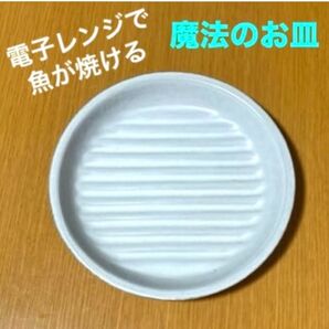 電子レンジで魚が焼ける 魔法のお皿 イシガキ産業 皿 電子レンジ調理器