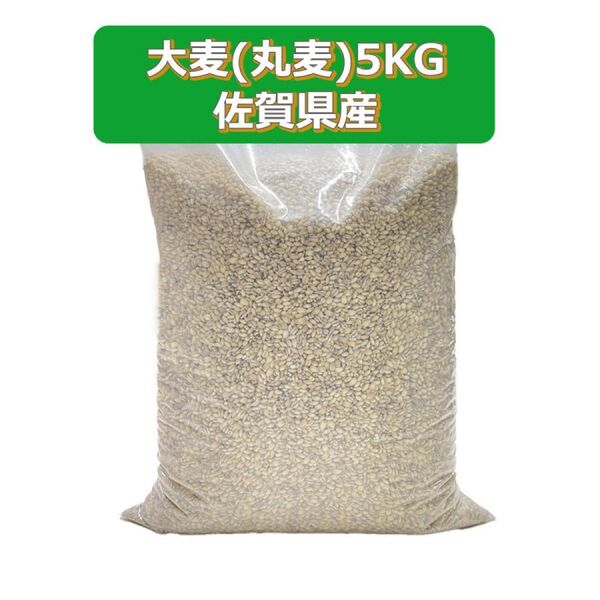 佐賀県産大麦5KG ブラウティア やせ菌増やす 食物繊維 米 国産 送料込み