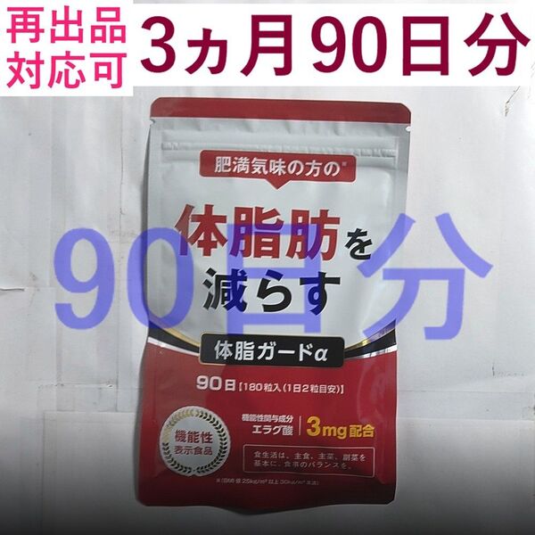 【1袋】体脂ガードα 90日分×1袋 体脂肪を減らす ダイエットサプリ エラグ酸 カルニチン BCAA DUEN